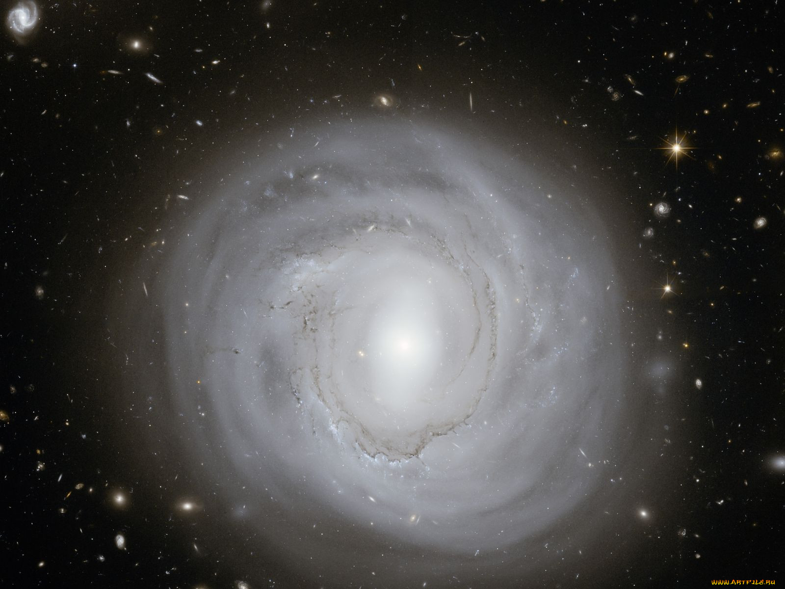ngc, 4921, , , 